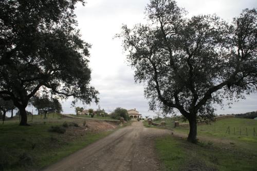 Gallery image of Dehesa Casa Quemada in El Garrobo