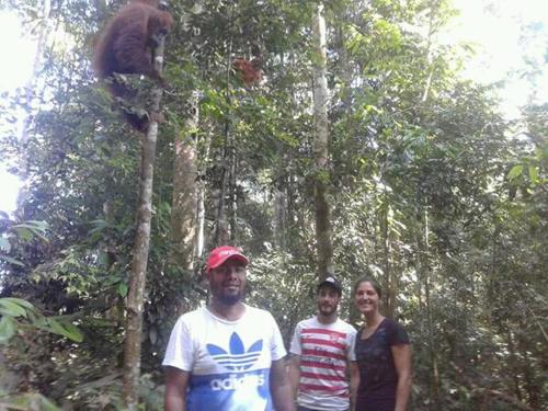 Επισκέπτες που μένουν στο ORANGUTANTREKSUMATRA & LOVELY JUNGLE LODGE only book IF you are treking with us
