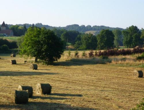Gîte La Borie Basse – Photos 5