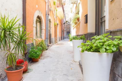 eine Gasse mit Topfpflanzen an der Seite eines Gebäudes in der Unterkunft Ciraulo Apartment Central Old Town Catania in Catania