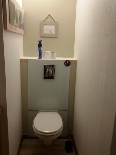 a bathroom with a white toilet in a room at Gîte Chalet du Soulor in Arrens-Marsous