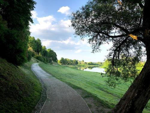 a path next to a river with a tree at Skrunda Apartments Centrum in Skrunda