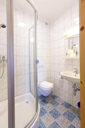 a bathroom with a shower and a toilet and a sink at Villa Marienhof in Annenheim