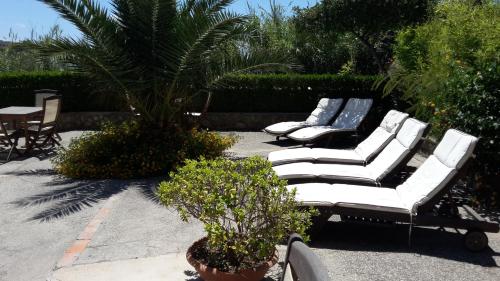 Jardín al aire libre en Hotel Casa Gerardo