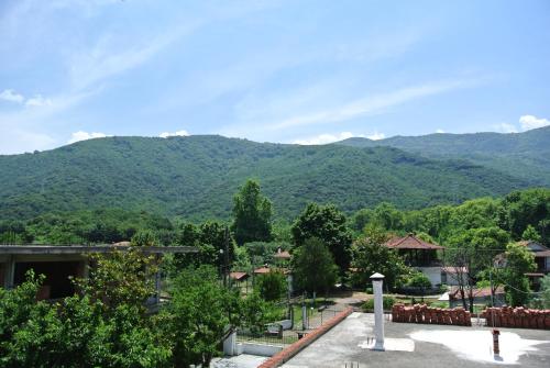 Gallery image of Milies Apartments in Stavros
