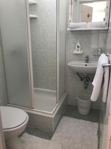 a bathroom with a shower and a toilet and a sink at Sea View Room Macolic in Rab
