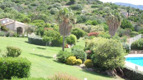 a garden with a swimming pool and palm trees and bushes at Résidence les Hameaux de Bocca del Oro in Porto-Vecchio