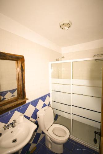 a bathroom with a toilet and a sink at Apartamentos turísticos valle do seo in Trabadelo