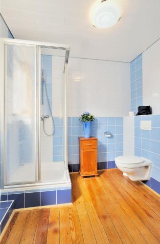 a blue bathroom with a toilet and a shower at Villa Möwenstein in Timmendorfer Strand