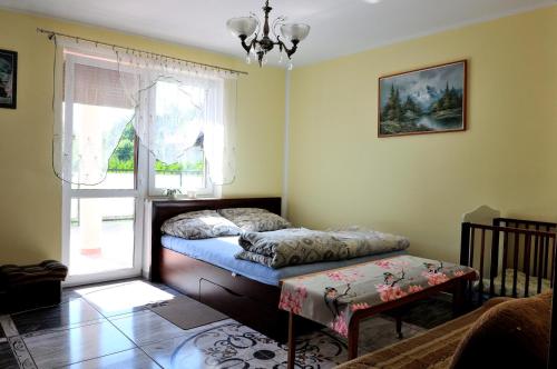 um quarto com uma cama e uma janela em Banana Apartment em Toruń