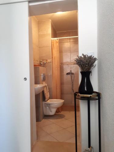 a bathroom with a toilet and a vase on a table at Marty Apartment in Rogoznica