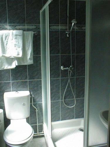 a bathroom with a shower with a toilet and a sink at Hotel Ferney République in Paris
