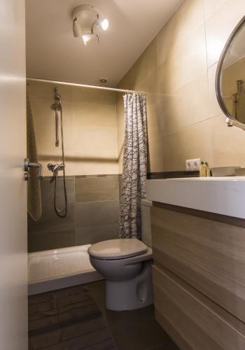 a bathroom with a toilet and a sink and a shower at Apartamentos Málaga Picasso in Málaga