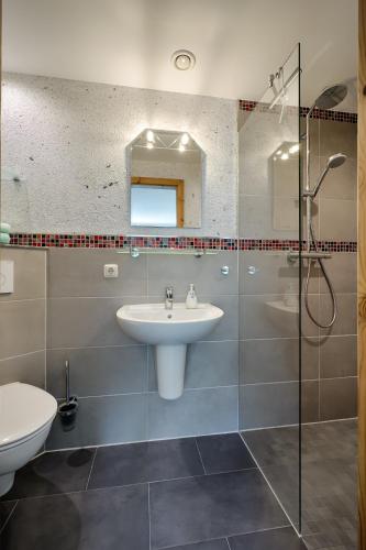 un bagno con lavandino e doccia di Appartementhaus Bergstraße a Prerow