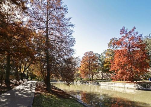 a path next to a river with trees in autumn at THE MADISON - San Antonio Riverwalk - Downtown - Convention Center in San Antonio