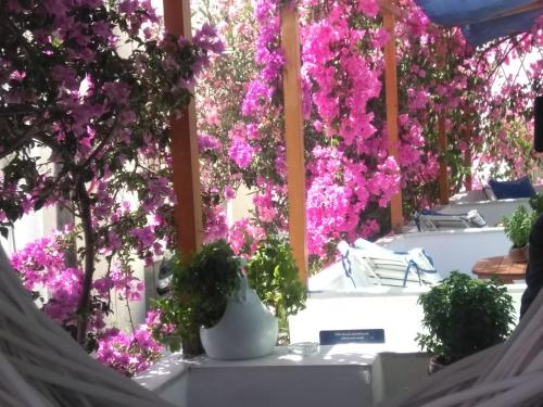 a table with purple flowers in a room at Doron Hotel Delfini in Naxos Chora