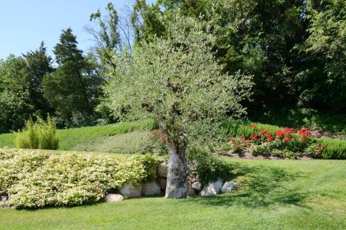 a tree in the middle of a garden with flowers at Relais Rossar Boutique Hotel Garda & Hills in Costermano sul Garda