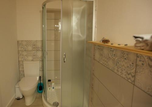 コティージョにあるMolino de el Roqueのバスルーム(トイレ、ガラス張りのシャワー付)