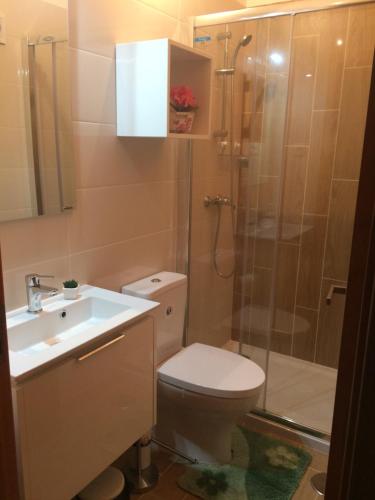 a bathroom with a toilet and a shower and a sink at Outeiro House in Ponte de Lima