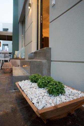 a garden of rocks and plants on the side of a building at Natali Apartments by Estia in Malia