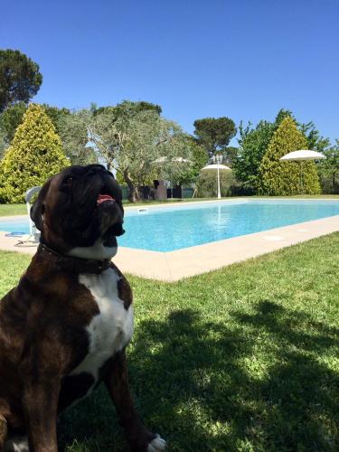 Πισίνα στο ή κοντά στο Agriturismo al Colle