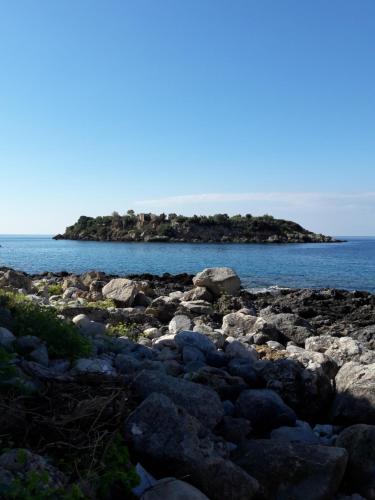 Φυσικό τοπίο κοντά σε αυτό το διαμέρισμα