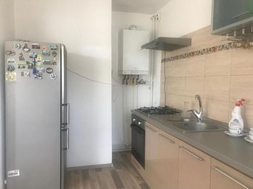 a kitchen with a refrigerator and a sink at Five in Luduş