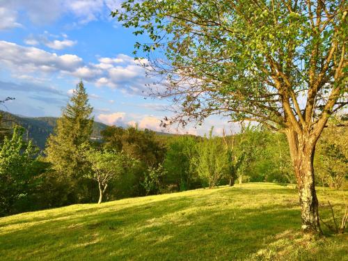 Φωτογραφία από το άλμπουμ του Gite de La Jasse σε Chamborigaud