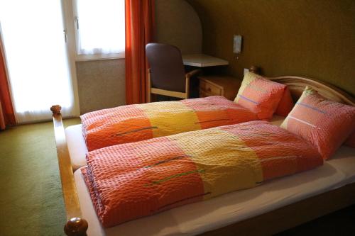 Gallery image of Adrenalin Backpackers Hostel in Braunwald