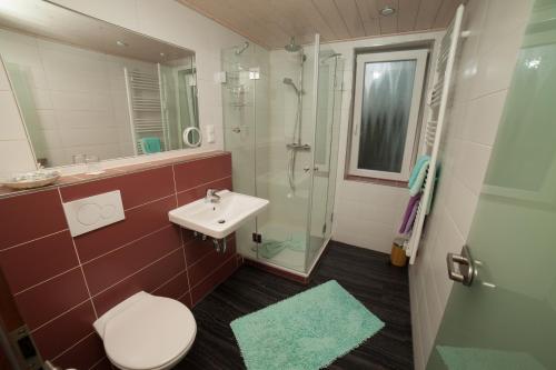 Goldener Stern في دينغولفينغ: حمام مع مرحاض ومغسلة ودش