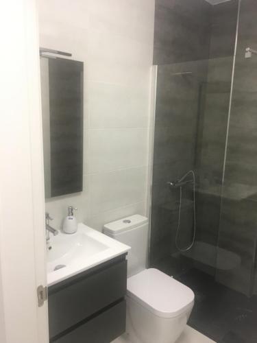 ein Bad mit einem WC, einem Waschbecken und einer Dusche in der Unterkunft Boulevard La Zenia Villa in Playa Flamenca