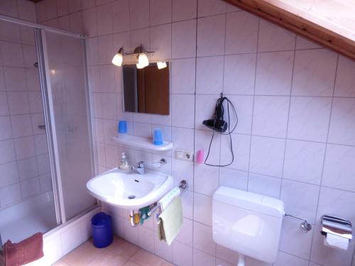 a bathroom with a sink and a toilet and a shower at Gillingerhof in Chamerau