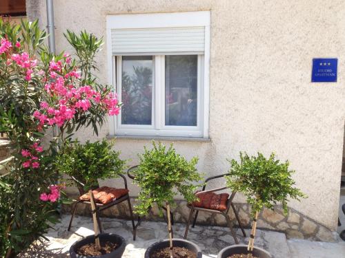 Zahrada ubytování Apartmani Tatić Štinjan