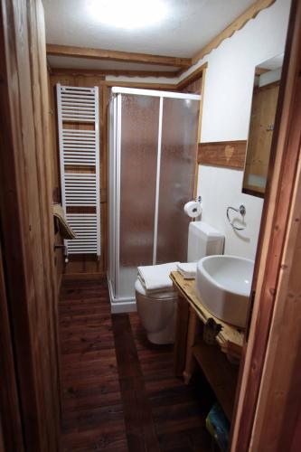 a bathroom with a shower and a toilet and a sink at Chambres D'Hotes Les Fleurs in Pila