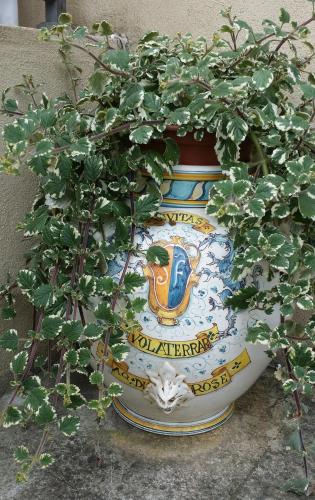 a large pot with a plant in it at B&B Le Torri Di Firenze in Fiesole