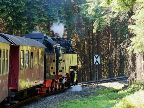 a train traveling down the tracks next to trees at Pension Raststüb'l in Sorge