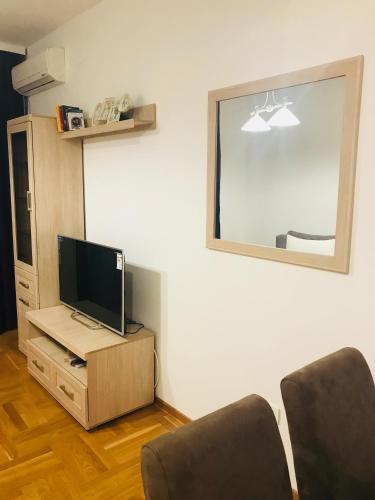 Μια τηλεόραση ή/και κέντρο ψυχαγωγίας στο Apartments Sneža