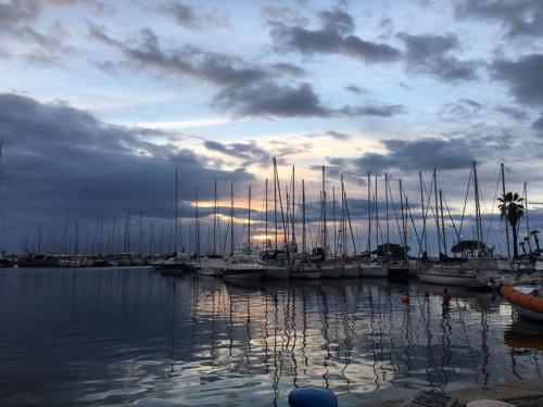 a group of boats docked in a marina with the sunset at Enjoy in Viareggio