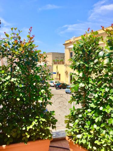 two plants in pots in front of a street at B&B L'Assunta in Alessano