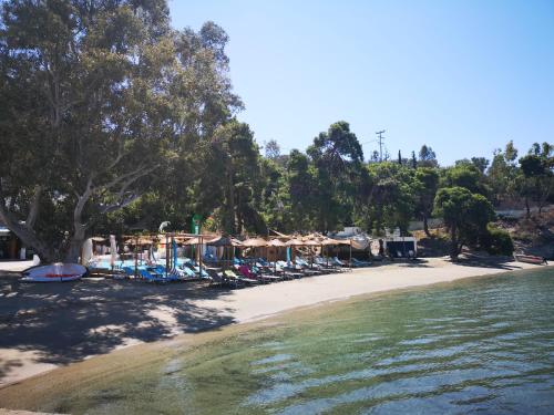 a beach with a bunch of umbrellas and chairs at Valente Perlia Rooms in Poros