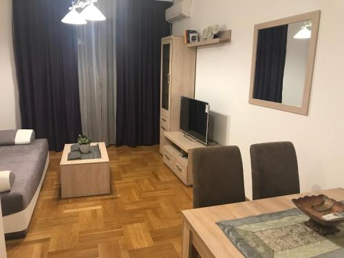 Μια τηλεόραση ή/και κέντρο ψυχαγωγίας στο Apartments Sneža