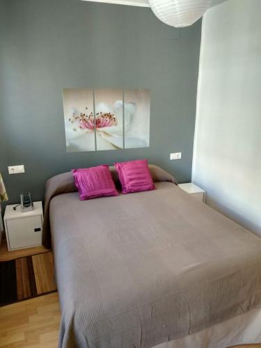 バレンシアにあるApartamento en la Ciudad de las Artes y las Cienciasのベッドルーム1室(ピンクの枕2つ、大型ベッド1台付)