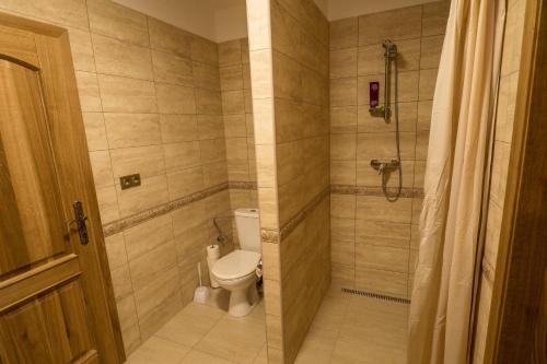 a bathroom with a toilet and a shower at Vila Veronika in Lednice