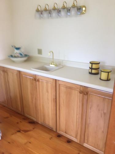 a kitchen with a sink and wooden cabinets at Chateau du Lac in Richfield Springs