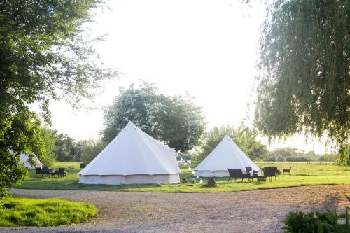 two white tents in a field with trees at Oxford Riverside Glamping in Oxford