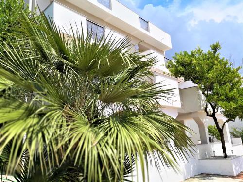 a white building with a palm tree in front of it at Villa Gaj in Novalja