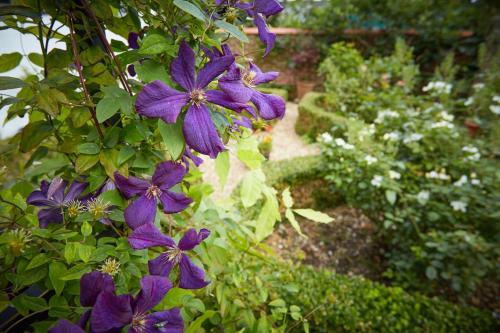 A garden outside Strawberry Cottage B&B 