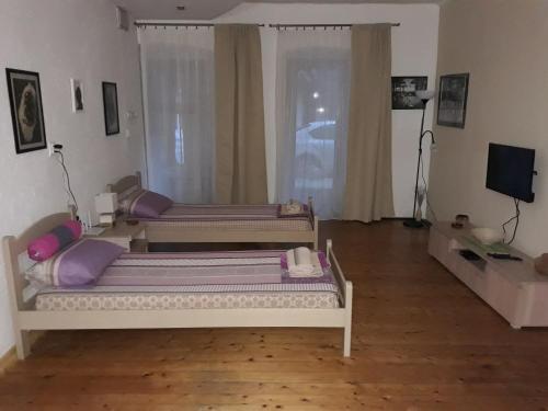 2 Betten im Wohnzimmer mit einem TV in der Unterkunft Apartman Centar in Cetinje