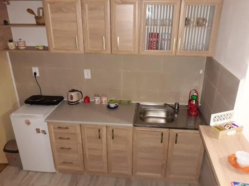 Küche/Küchenzeile in der Unterkunft Apartman Centar