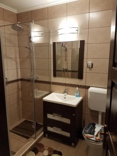 uma casa de banho com um lavatório e um chuveiro em La Siesta Apartments Oradea em Oradea